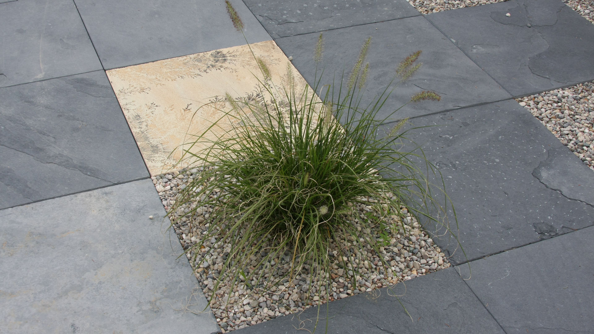 Stone slab tiles, pebbles, decorative tall grass. Front yard landscape. Modern landscaping / hardscaping project in London Ontario.