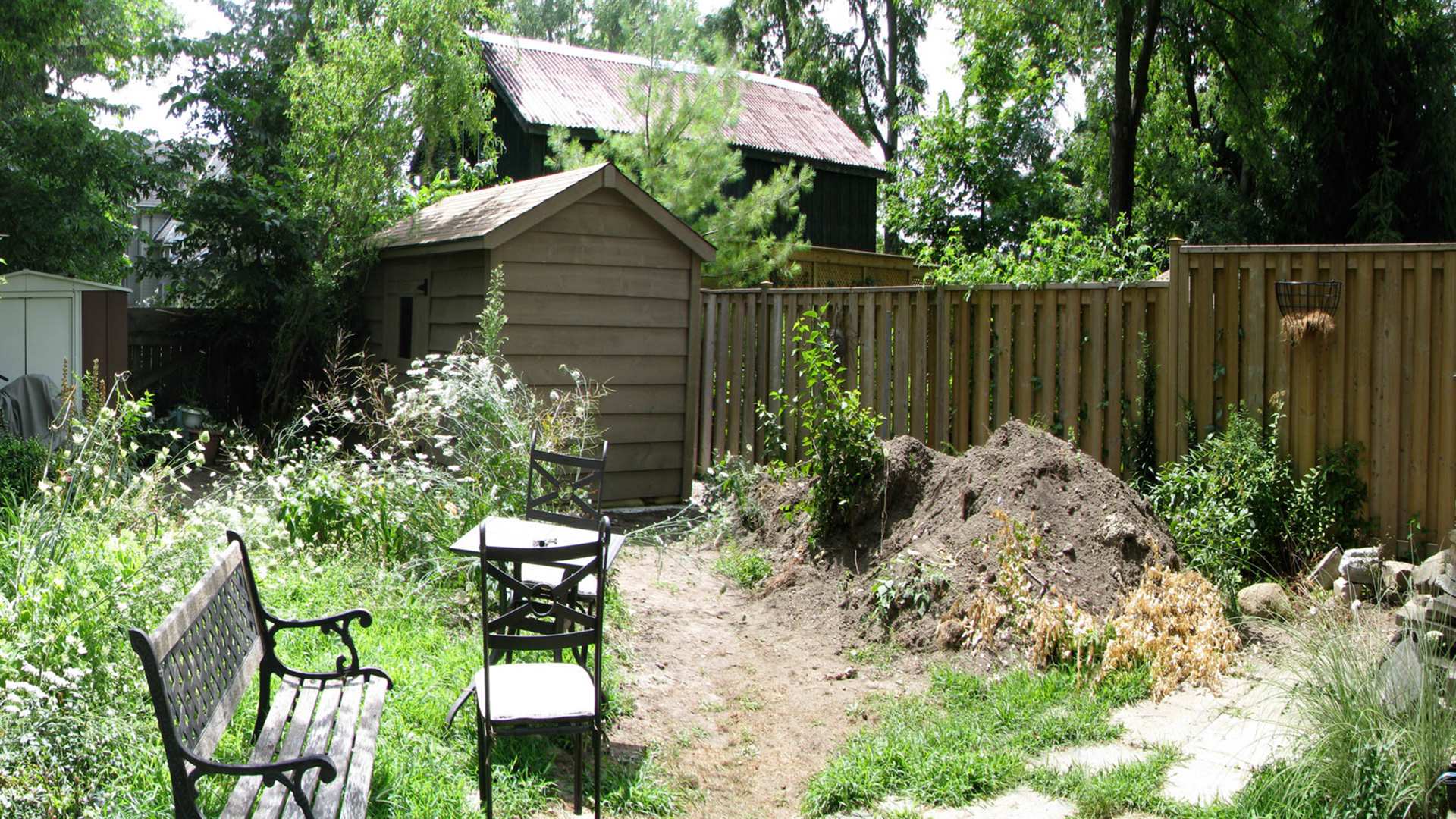 A before photo: complete backyard overhaul.